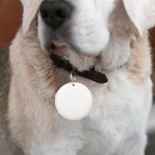 Basilio - GPS Tracker for Dogs, Cats & Children – Smart Tag Keychain with Anti-Loss Alarm